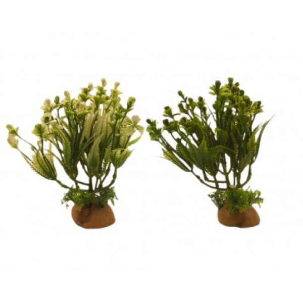 ΔΙΑΚΟΣΜΗΤΙΚΟ ΦΥΤΟ ΕΝΥΔΡΕΙΟΥ ΣΕ 2 ΧΡΩΜΑΤΑ 18CM 